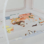 Mini World Map